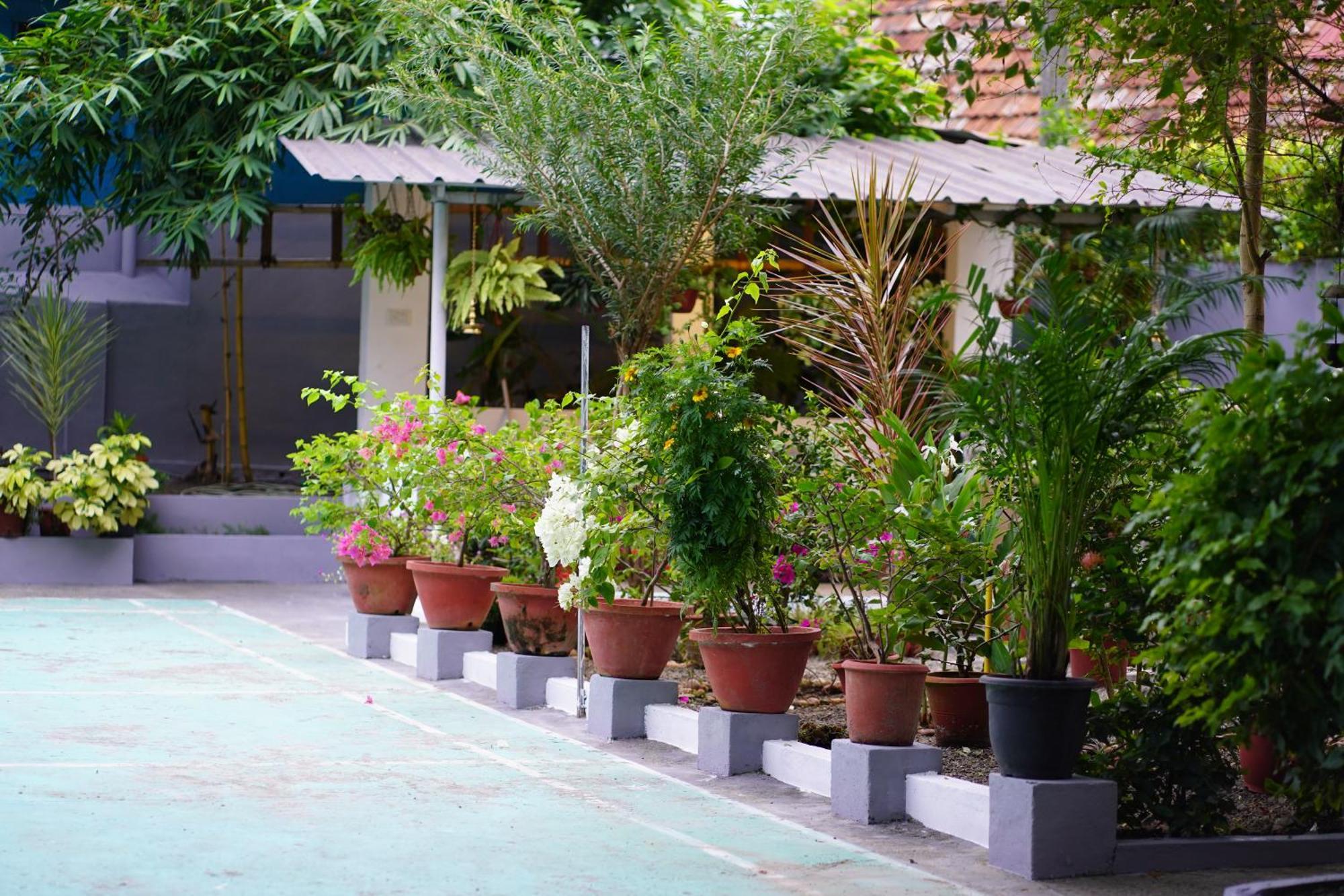 Remasailam Homestay - Thiruvananthapuram , Calm & Blend With Nature Eksteriør billede