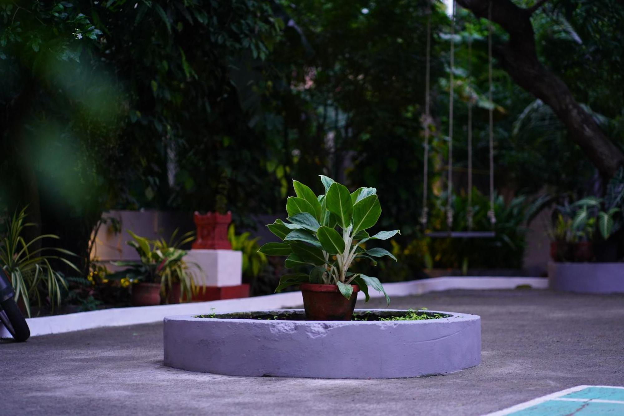 Remasailam Homestay - Thiruvananthapuram , Calm & Blend With Nature Eksteriør billede